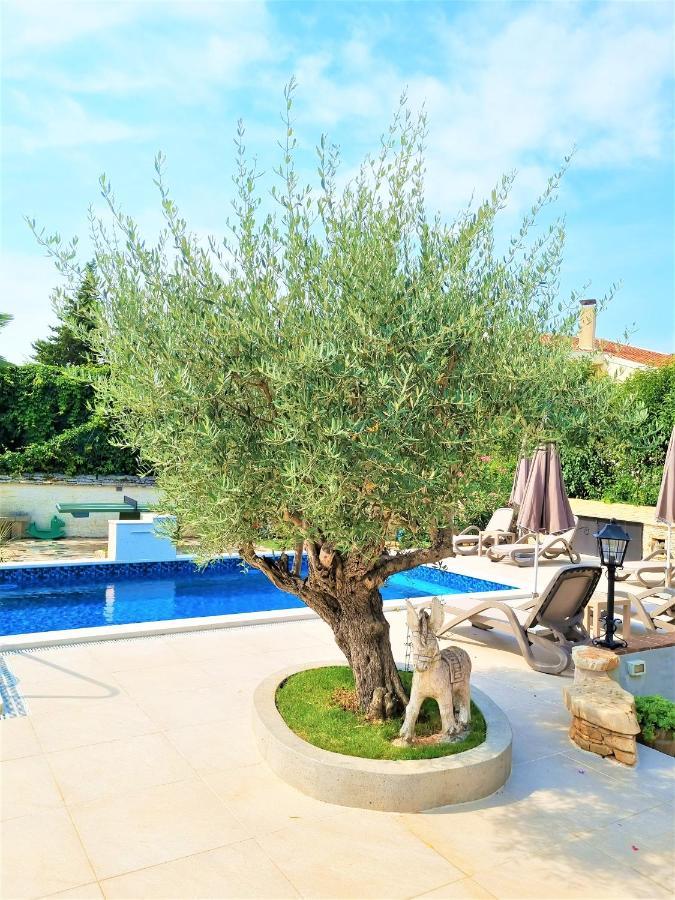Apartment Villa Engel With Pool Porec Exterior photo